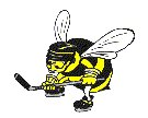 Bracknell Bees